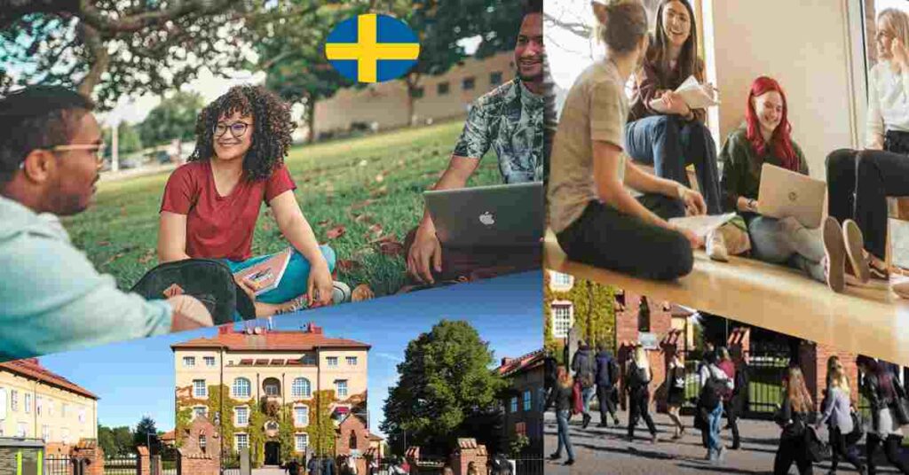 study in sweden for international students in english